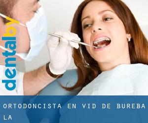 Ortodoncista en Vid de Bureba (La)