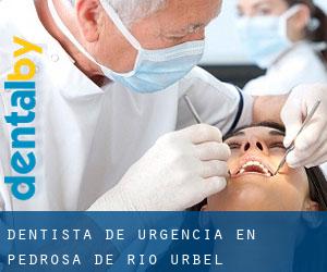 Dentista de urgencia en Pedrosa de Río Úrbel