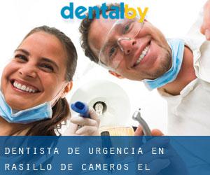 Dentista de urgencia en Rasillo de Cameros (El)