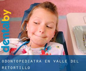 Odontopediatra en Valle del Retortillo