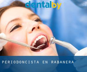 Periodoncista en Rabanera