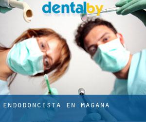 Endodoncista en Magaña