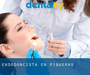 Endodoncista en Piqueras