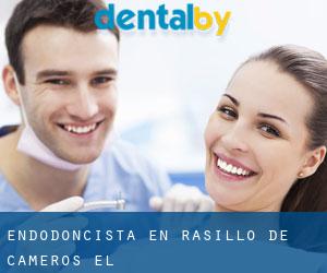 Endodoncista en Rasillo de Cameros (El)