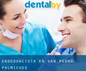 Endodoncista en San Pedro Palmiches