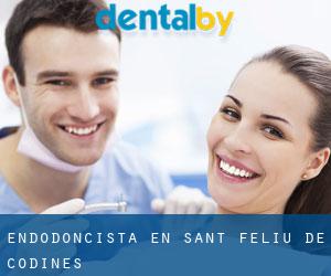 Endodoncista en Sant Feliu de Codines