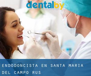 Endodoncista en Santa María del Campo Rus