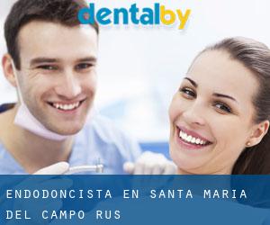 Endodoncista en Santa María del Campo Rus