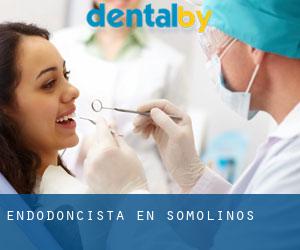 Endodoncista en Somolinos