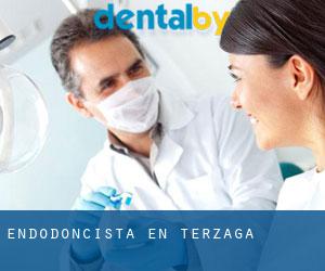 Endodoncista en Terzaga